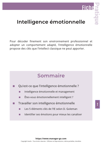 Développer son intelligence émotionnelle-3