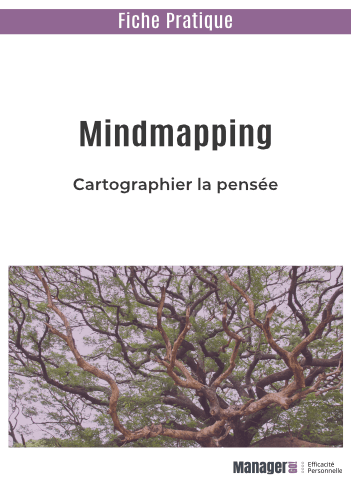 Cartographier la pensée avec le MindMapping